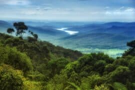 tamborine mountain weather