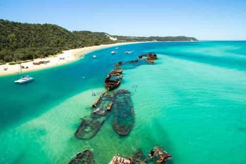 tangalooma day trips