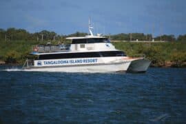 tangalooma ferry