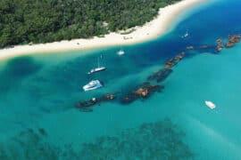 tangalooma wrecks moreton island