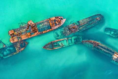 tangalooma wrecks