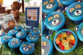 teddy bear picnic party ideas