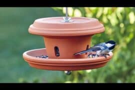 terra cotta bird feeder