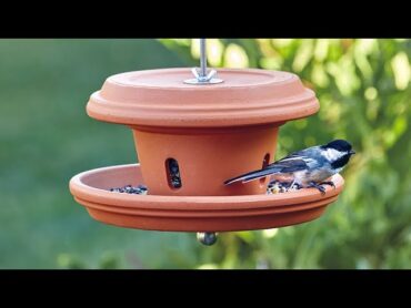 terra cotta bird feeder