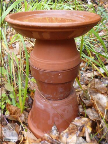 terracotta bird bath