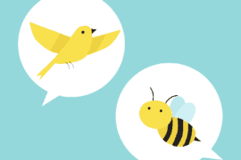 the birds and the bees talk