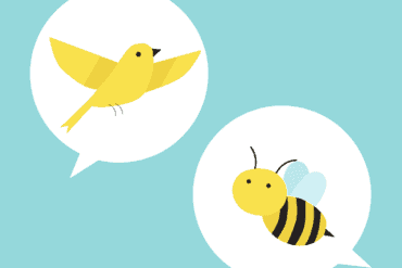 the birds and the bees talk