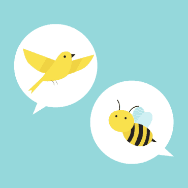 the birds and the bees talk