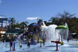 things to do and see in townsville