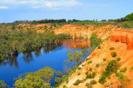 things to do in renmark australia