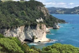 things to do in the coromandel