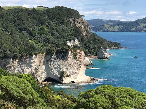 things to do in the coromandel