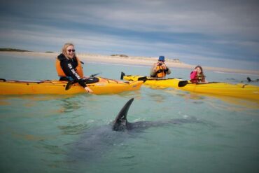 things to do in victor harbor