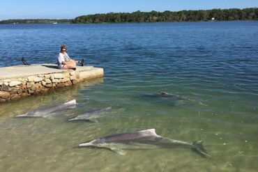 tin can bay queensland