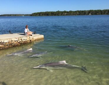 tin can bay queensland