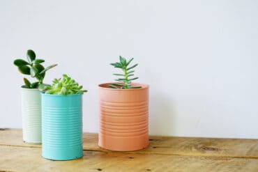 tin planters