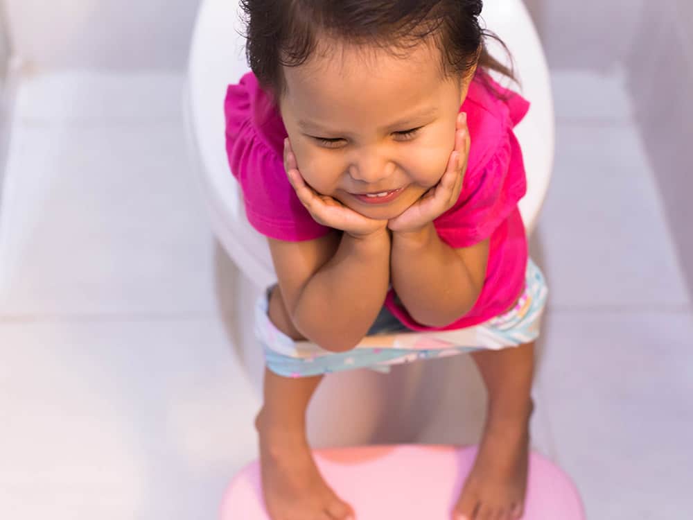 toilet training guide