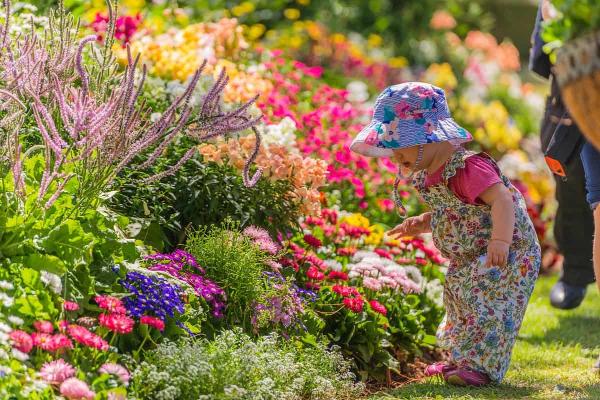 toowoomba festival of flowers