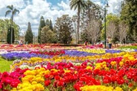 toowoomba flower festival