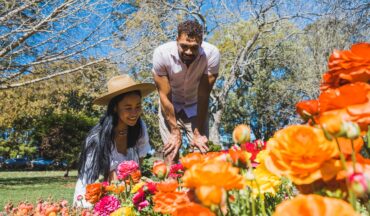 toowoomba flowers carnival