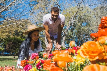 toowoomba flowers carnival