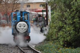 train museum port adelaide