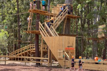 tree climb kuitpo