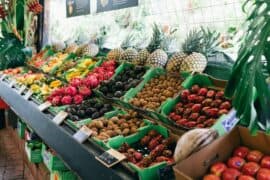 tropical fruit world nsw