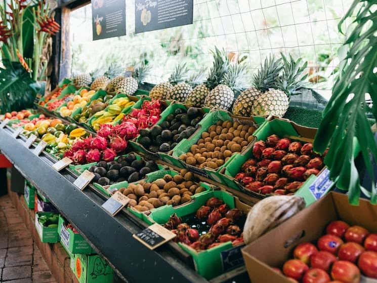 tropical fruit world nsw