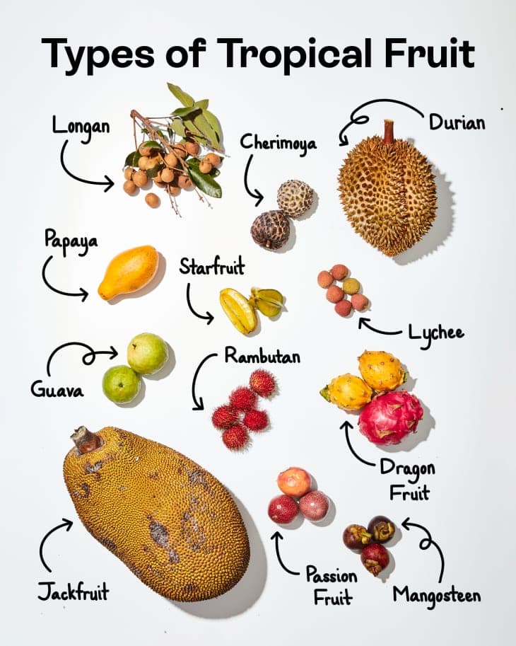 The Juicy Delights Of Tropical Fruit Explore The Vibrant Flavors And Health Benefits 