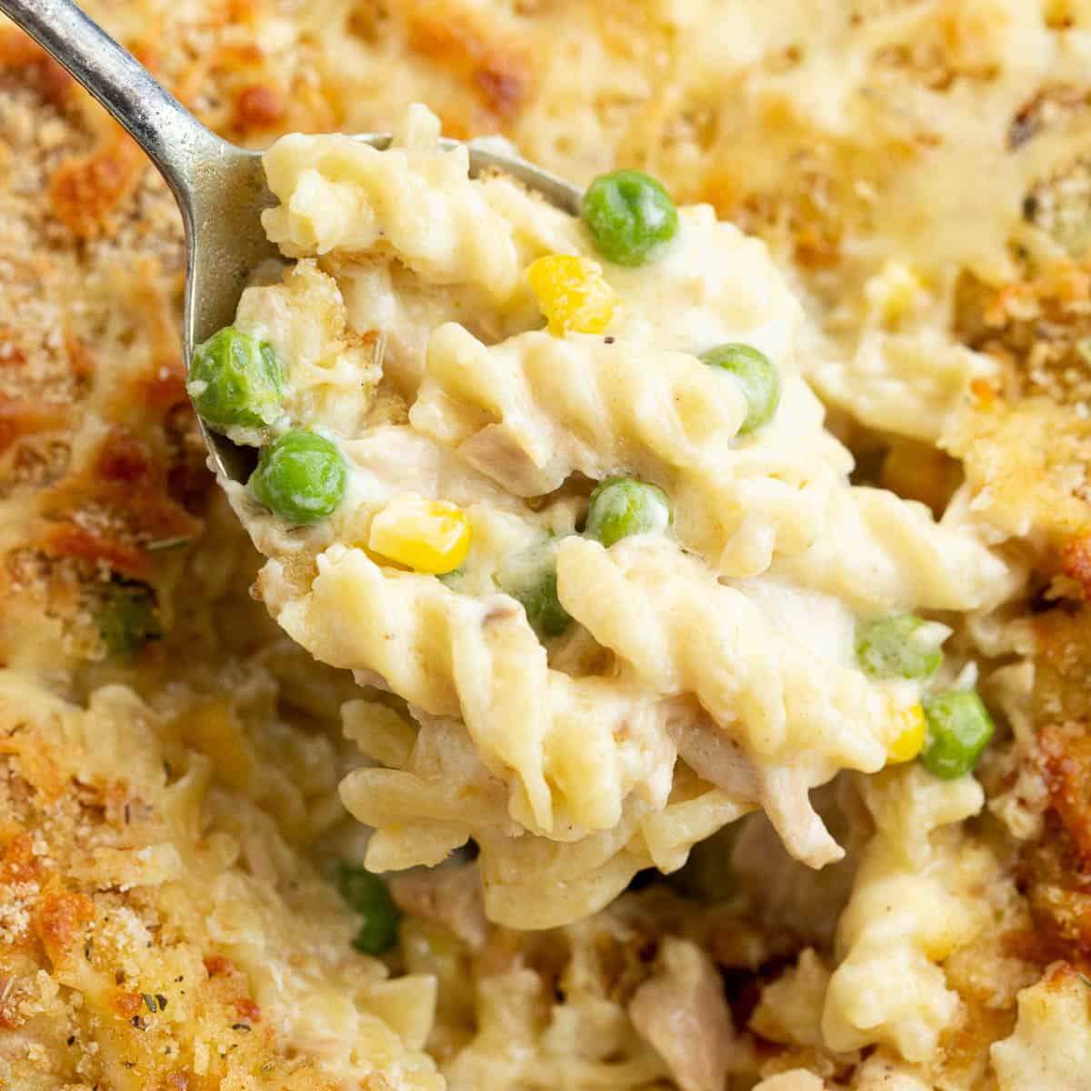 tuna mornay recipes