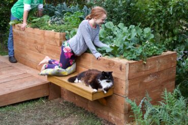 veggie gardens bunnings