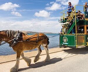 victor harbour attractions