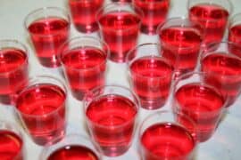 vodka jelly shot