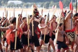 waitangi day celebrations