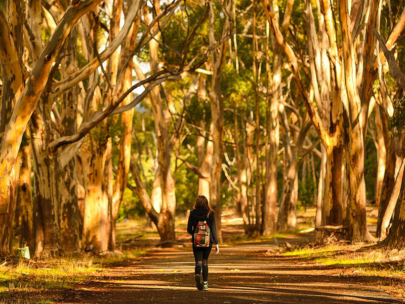 walking tracks adelaide