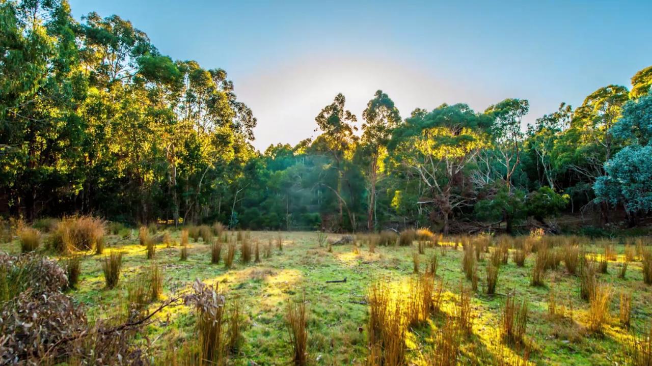 warrawong wildlife sanctuary