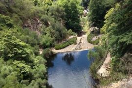 water gully adelaide