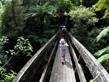 wellington kiwi holiday park