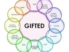 what does giftedness mean