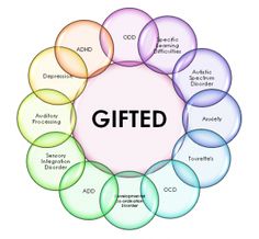 what does giftedness mean