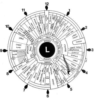 what is iridology