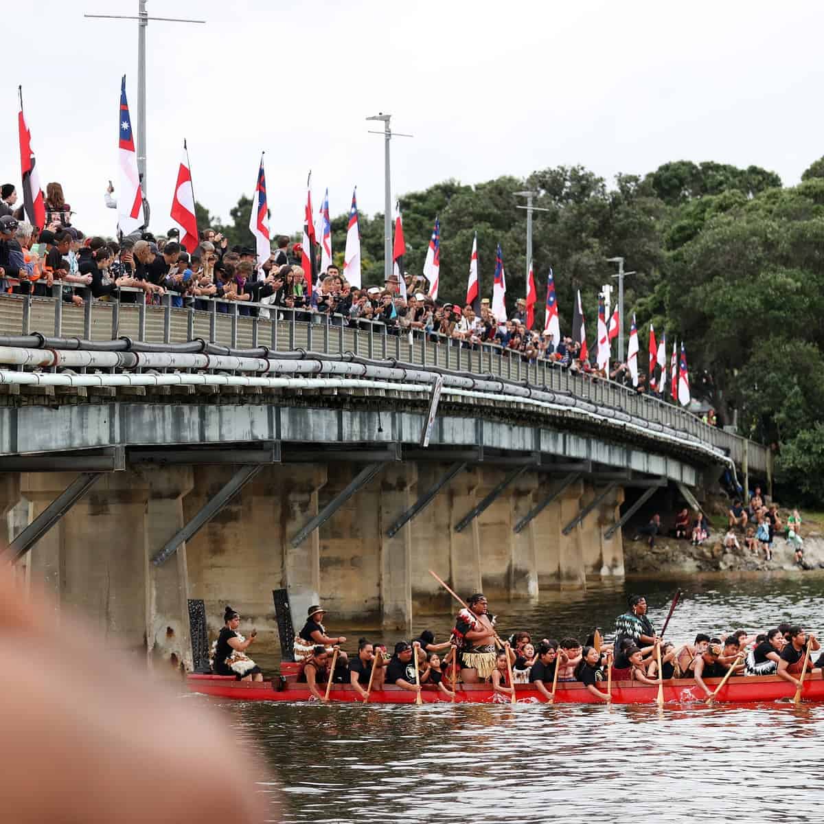 Discover The Meaning And Significance Of Waitangi Day In New Zealand 2498