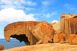 what to do on kangaroo island