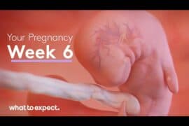 what to expect 6 weeks pregnant