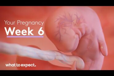 what to expect 6 weeks pregnant