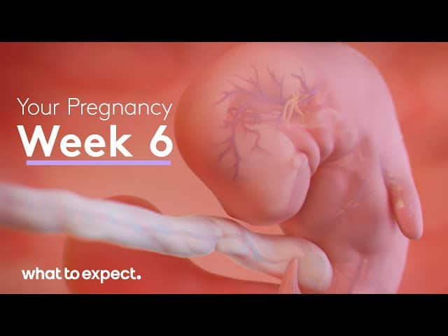 what to expect 6 weeks pregnant