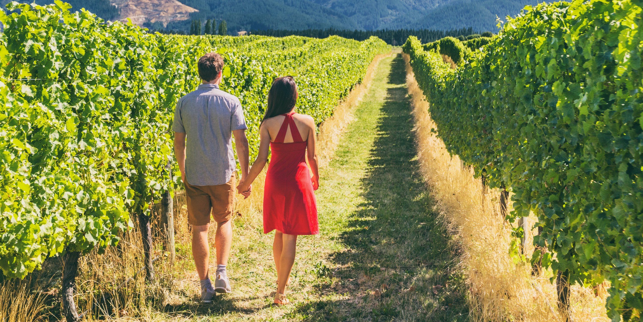 wineries in near me