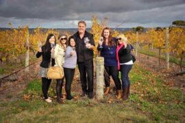 winery adelaide