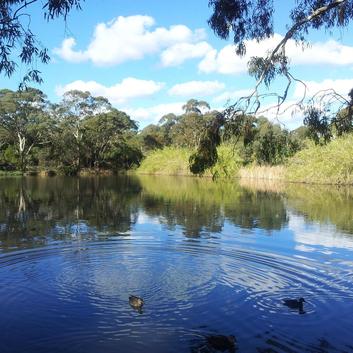 wittunga botanic garden